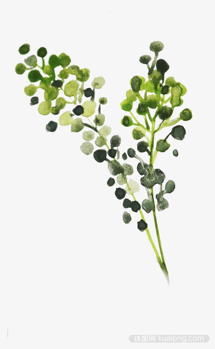 植物