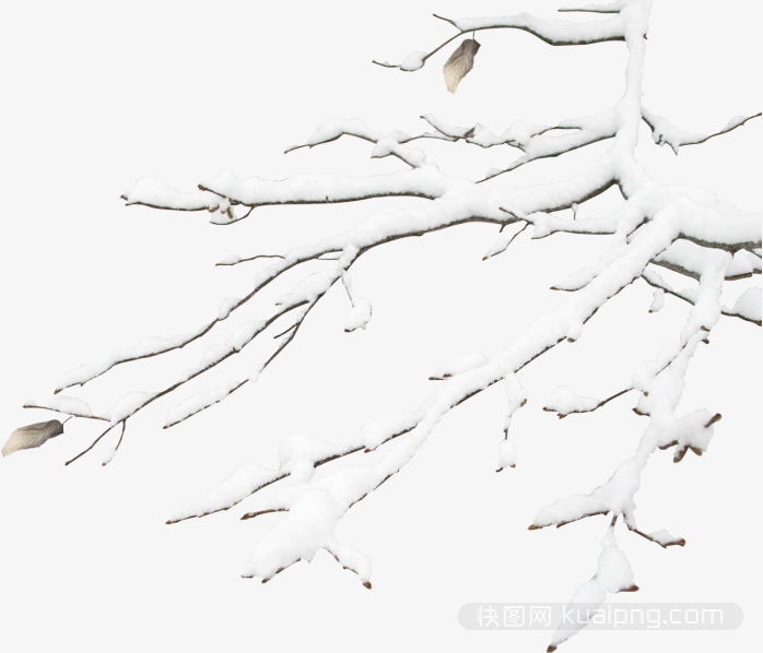 雪堆树枝
