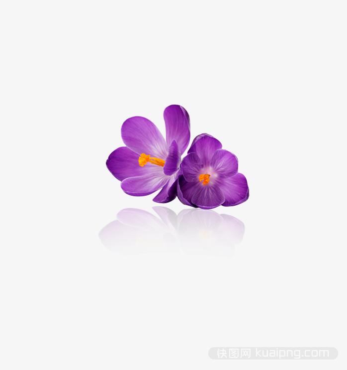 多彩鲜花设计元素