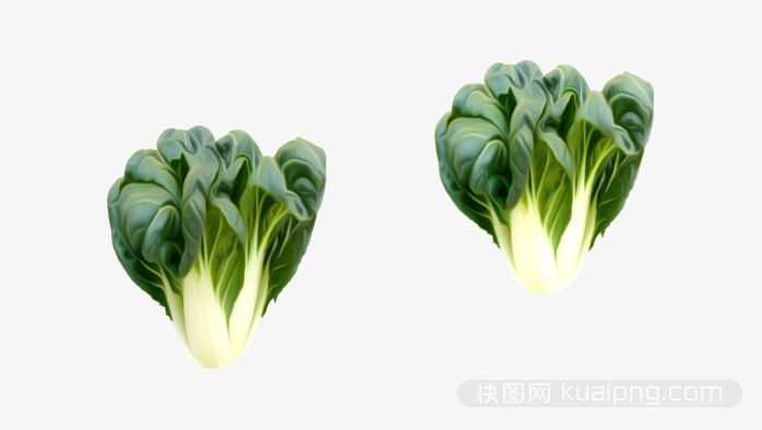 水果蔬菜设计元素