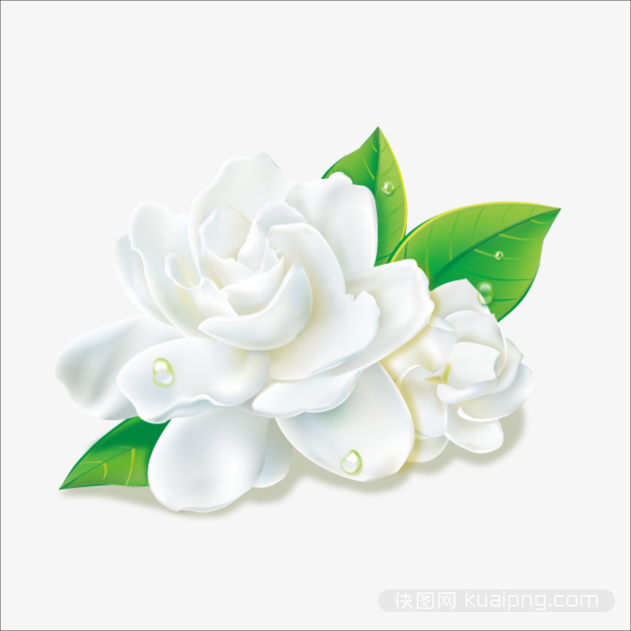 多彩鲜花设计元素