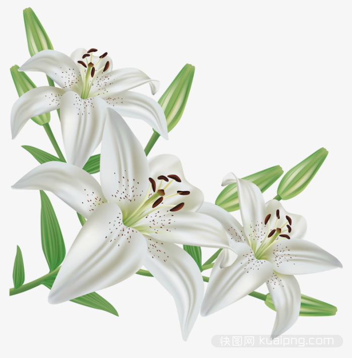 多彩鲜花设计元素