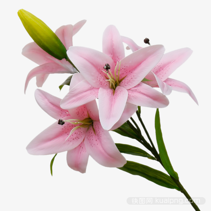 多彩鲜花设计元素