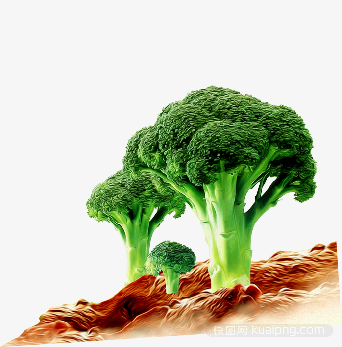 水果蔬菜设计元素