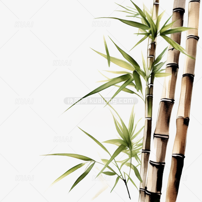 中国风水墨竹子画