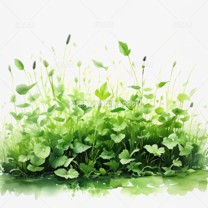 手绘野草坪