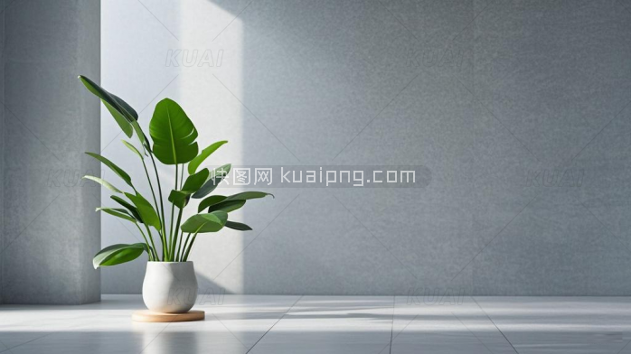 灰色北欧风格背影墙盆栽景观