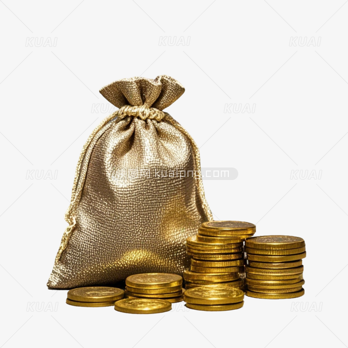 金钱袋子