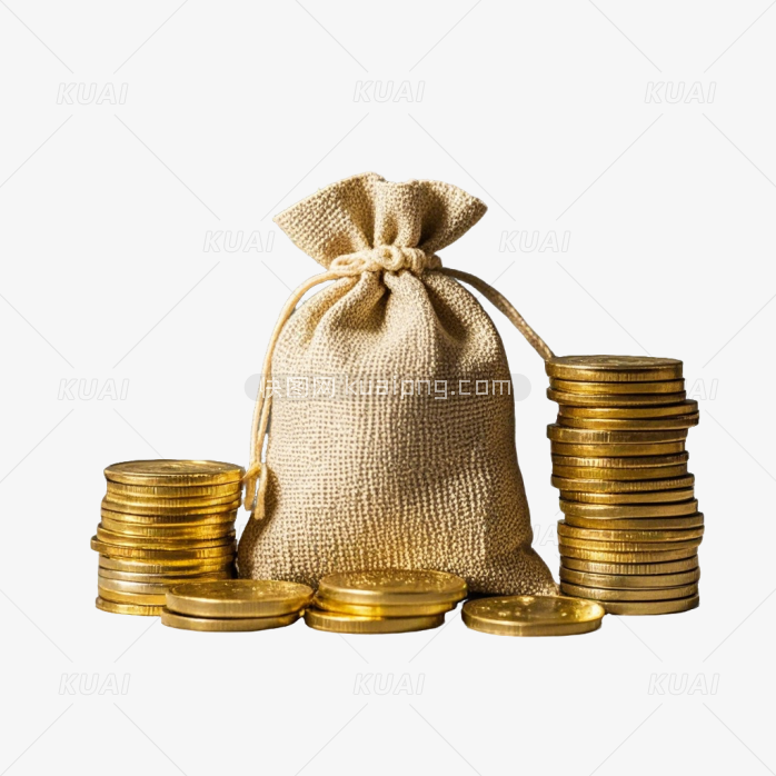 钱袋金币财富
