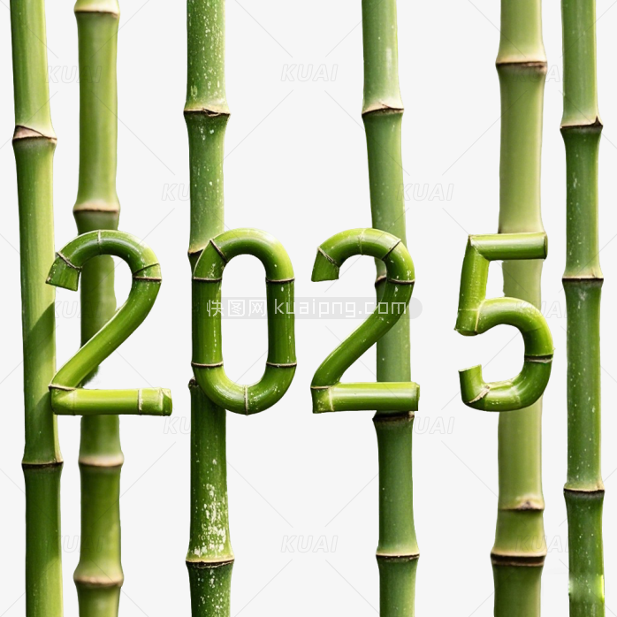竹子2025