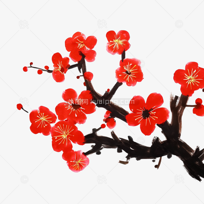快图网独家原创手绘腊梅绘画