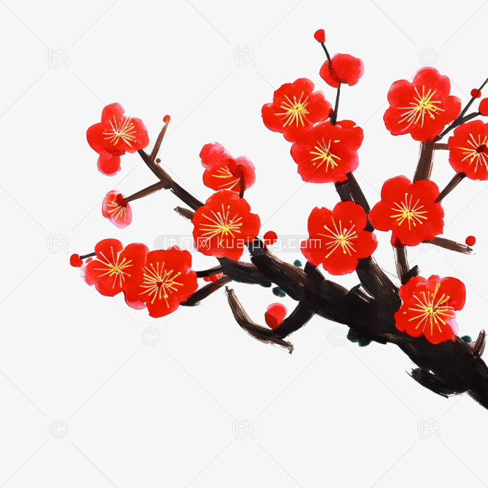 快图网独家原创手绘腊梅绘画