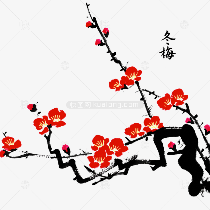 快图网独家原创手绘腊梅画