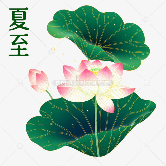 快图网原创夏至手绘荷花