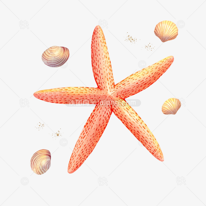 原创手绘海星元素
