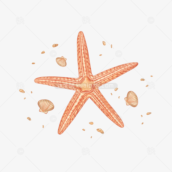 原创手绘海星元素