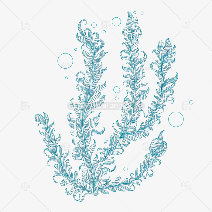 原创手绘海草