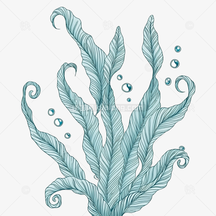 原创手绘海草