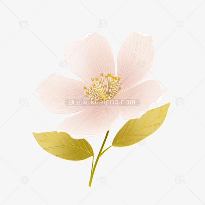原创手绘矢量花朵