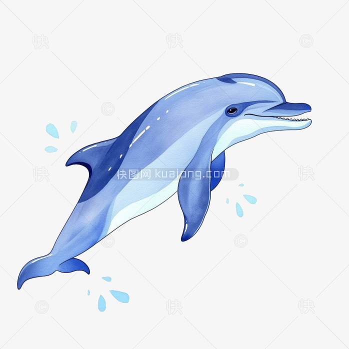 快图网原创卡通海豚