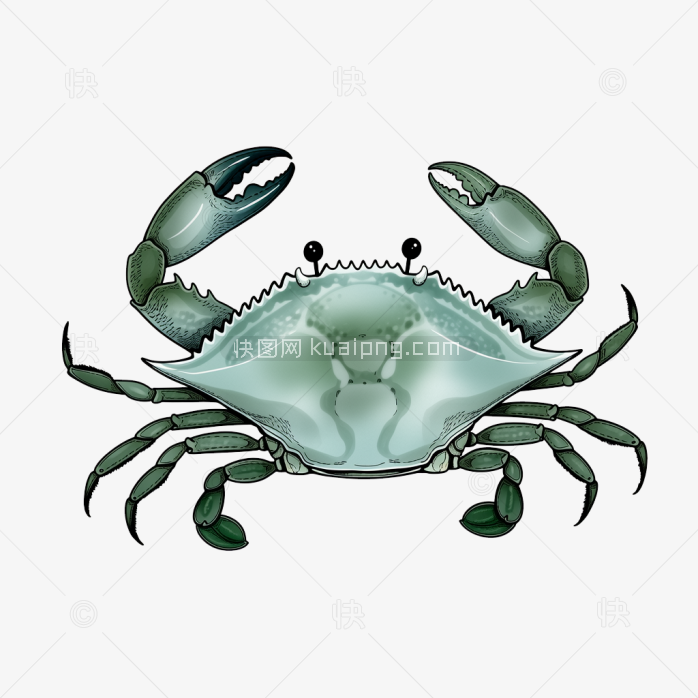快图网原创手绘螃蟹