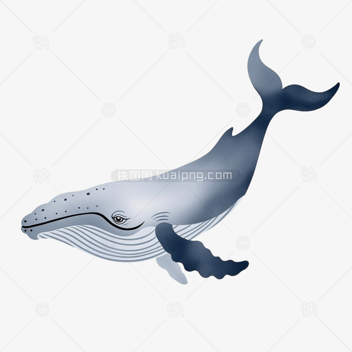 快图网原创鲸鱼