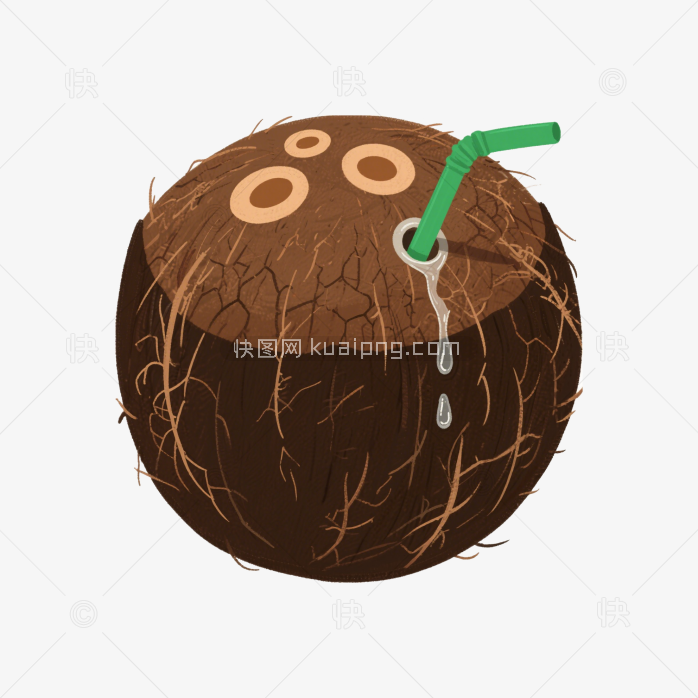 快图网原创手绘椰果