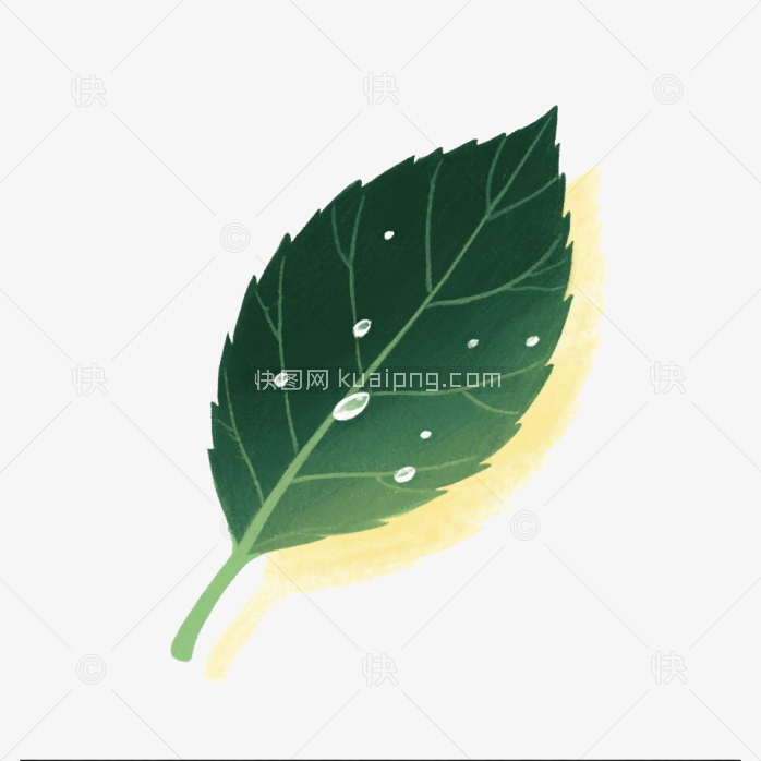 快图网原创手绘树叶