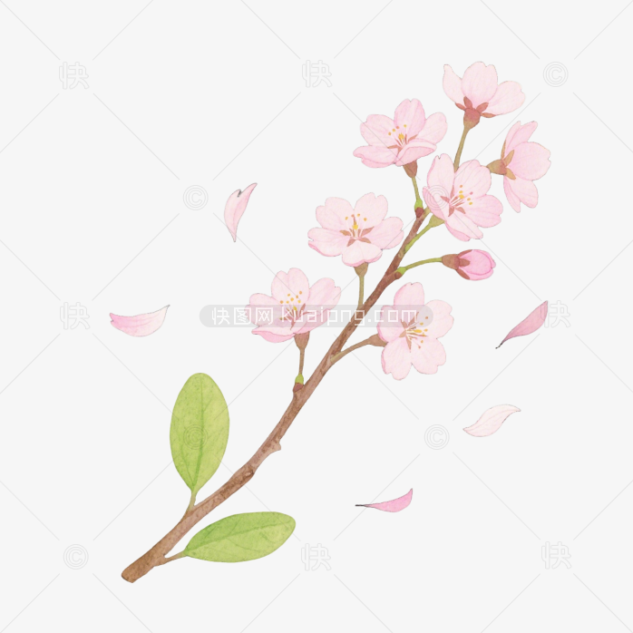 快图网原创手绘樱花