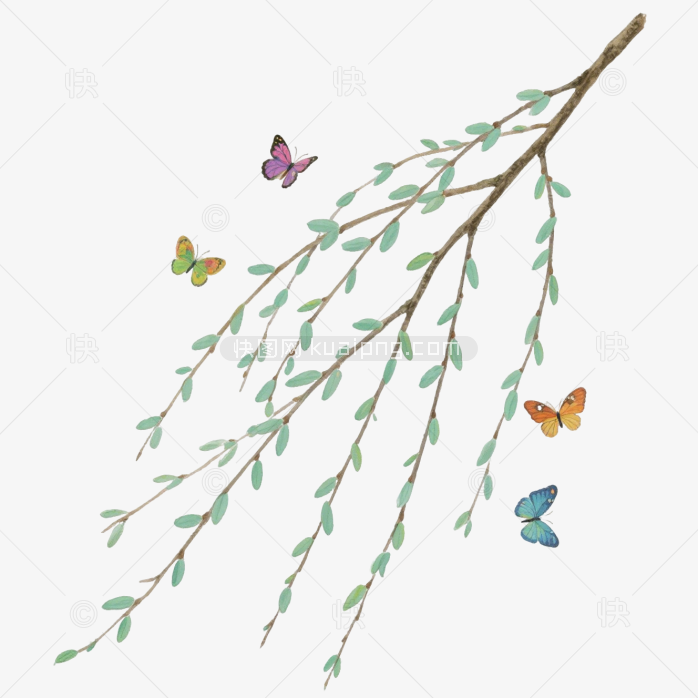 快图网原创手绘春天柳条植物