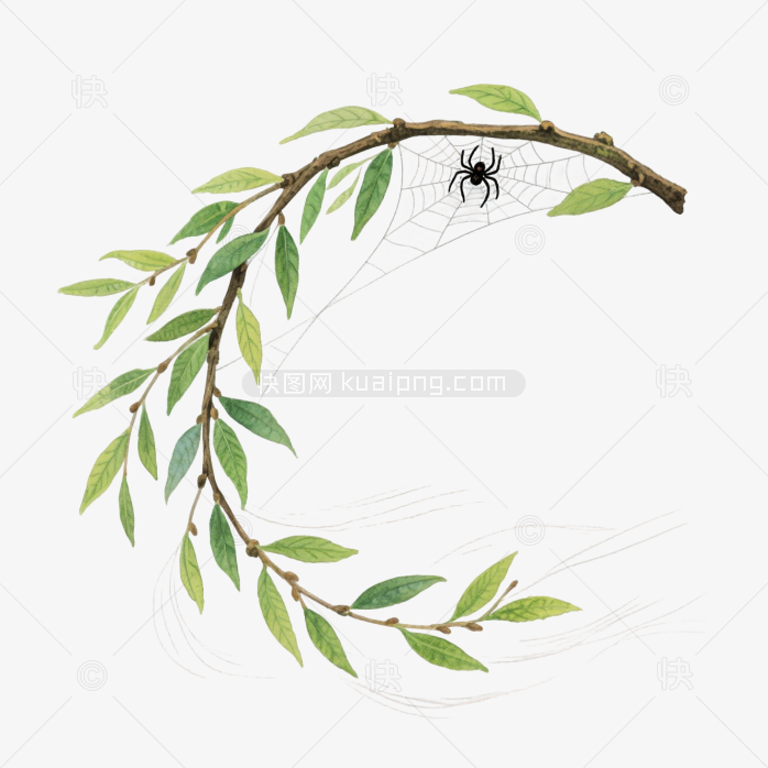 快图网原创手绘春天柳条植物