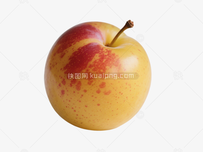 枣子