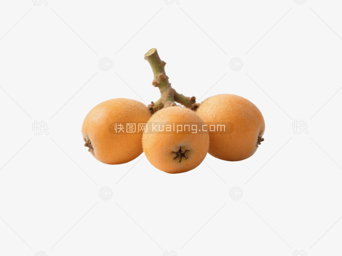 琵琶果