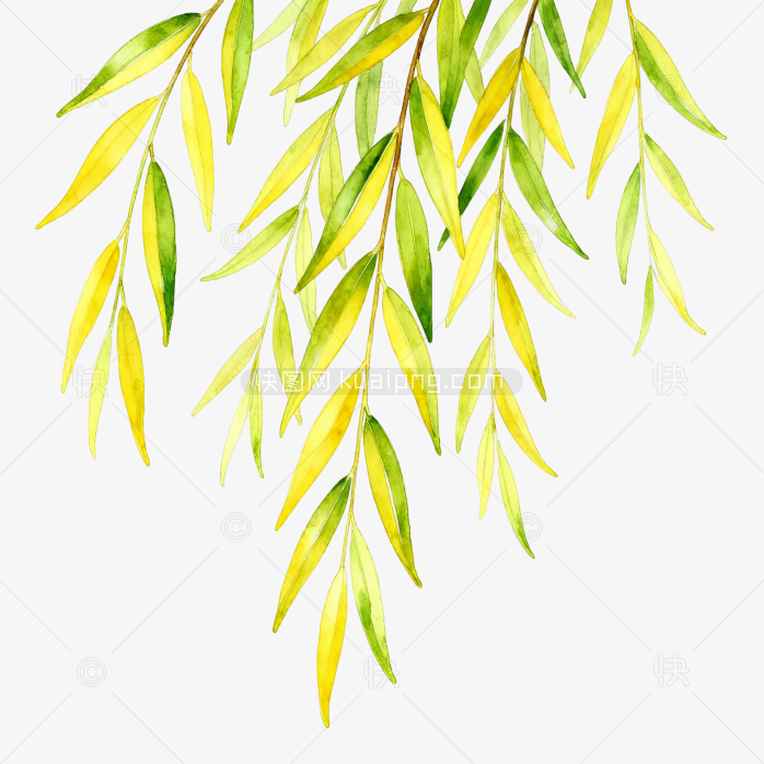 手绘树叶