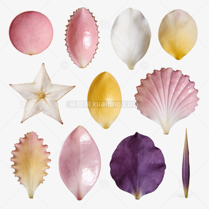 浪漫手绘花瓣漂浮花卉装饰