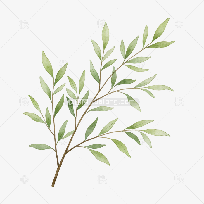 自然清新树叶设计-快图网-免费PNG图片免抠PNG高清背景素材库kuaipng.com