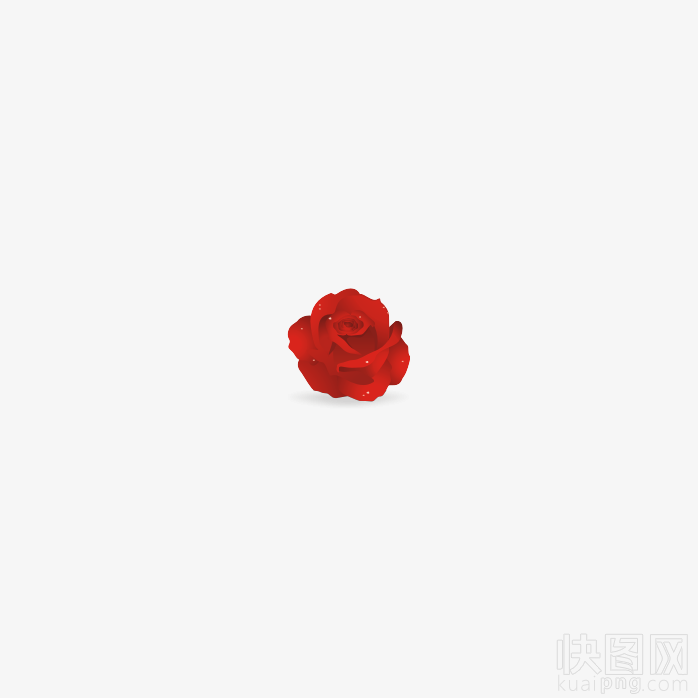 红玫瑰