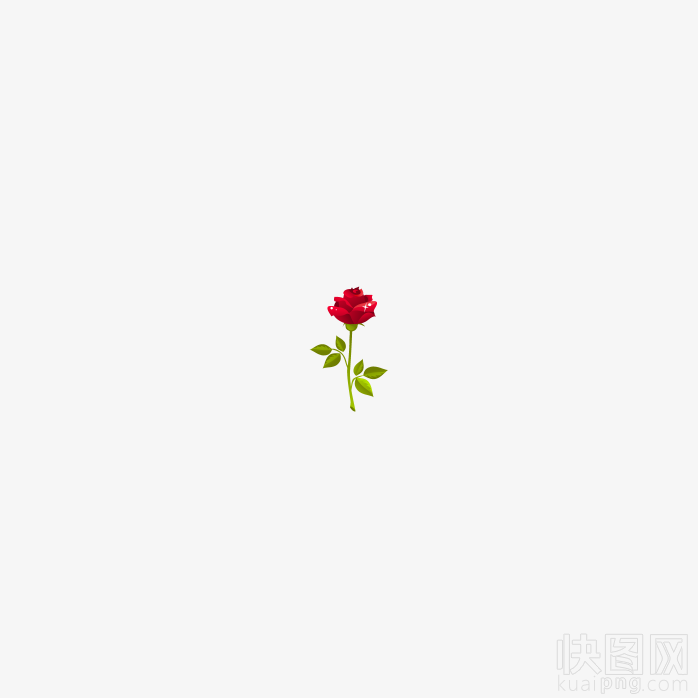 玫瑰花