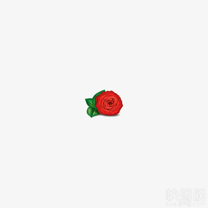 玫瑰