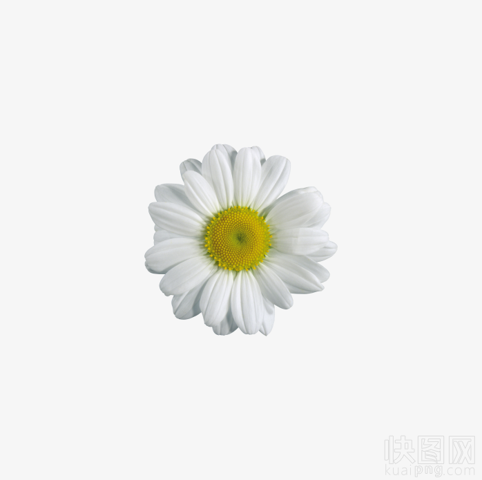 花朵
