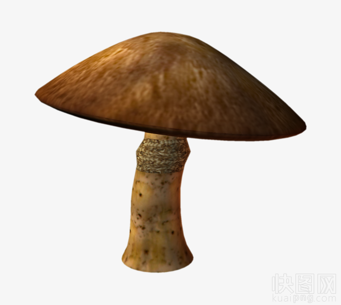 蘑菇