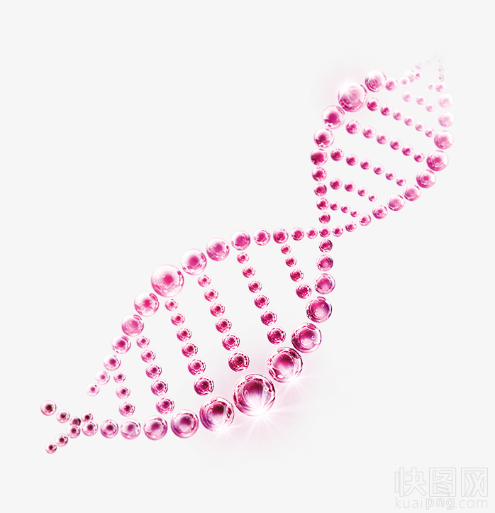 DNA