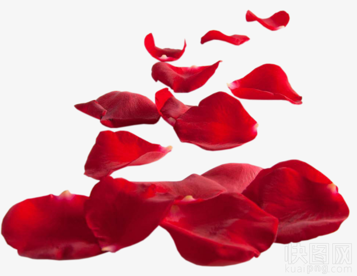玫瑰花瓣